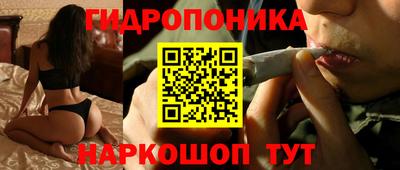 гидра Заволжье