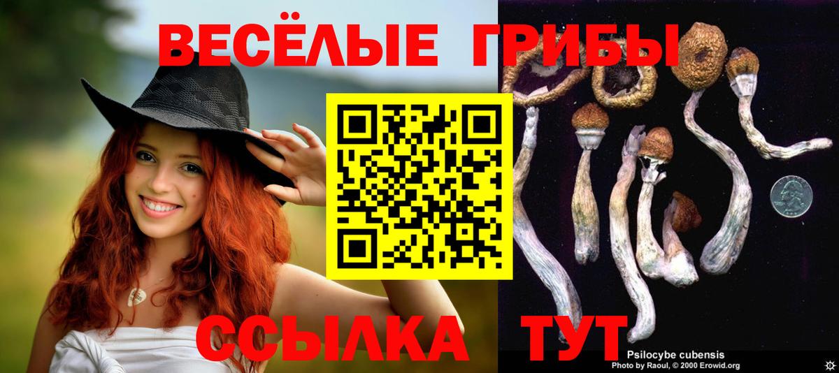 Галлюциногенные грибы ЛСД Лесосибирск