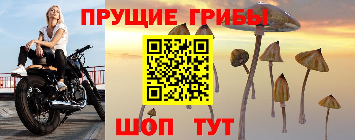 Лесосибирск  Псилоцибиновые грибы мухоморы  Галлюциногенные грибы прущие грибы  Вход с VPN 